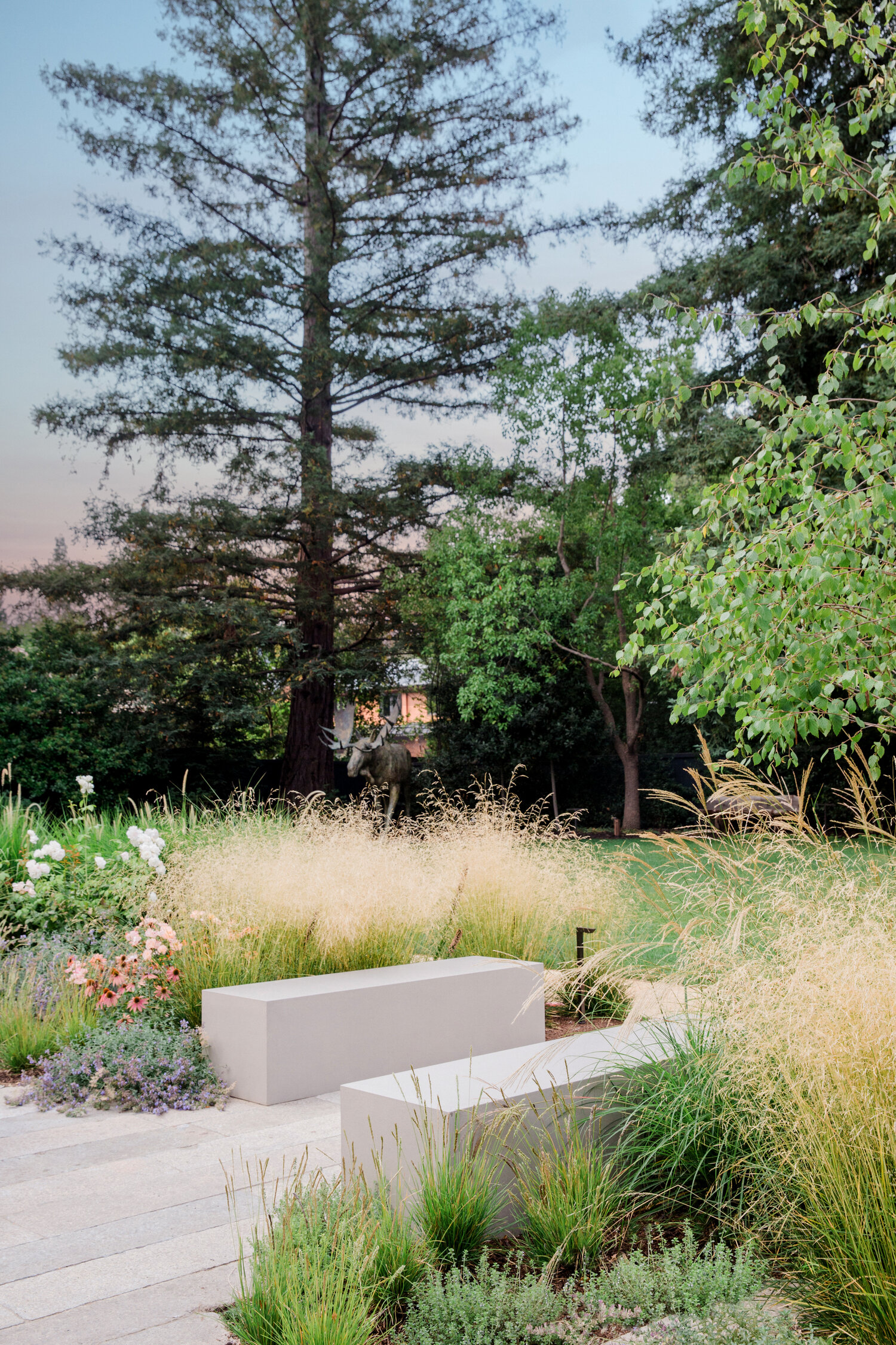 Wildly tranquil native flowers and plants cocoon sculptural seating in Boxleaf’s West Atherton landscape renovation.