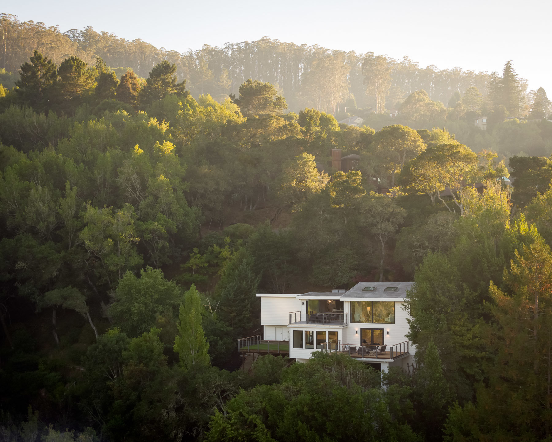 A striking Mill Valley home, designed by Brooks McDonald Architecture, nestles in untamed nature.