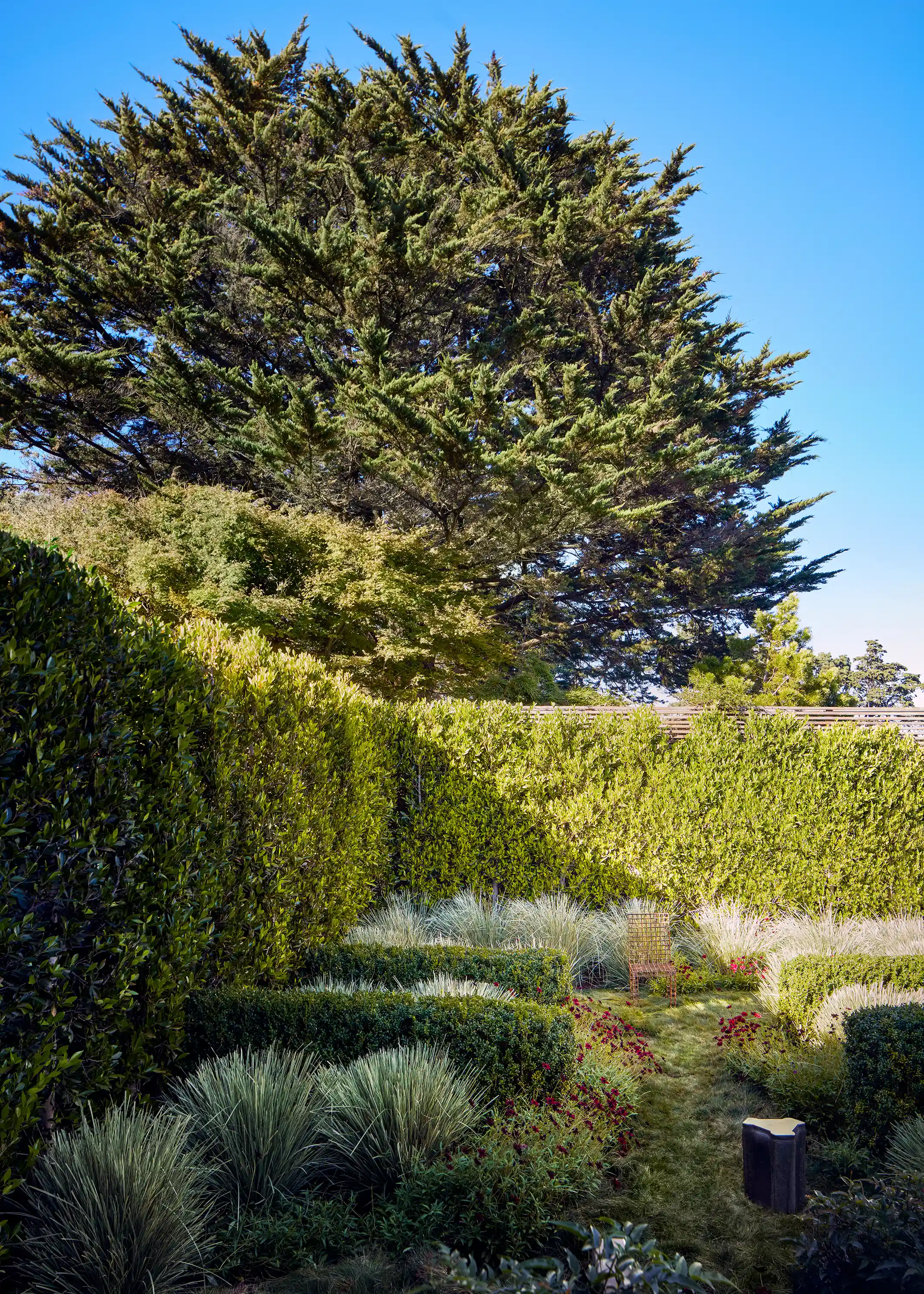 The landscape design achieves lush textures with a refined palette, using Boxwood structurally to create intentional moments within the repetition of Lomandra and Chocolate Cosmos.